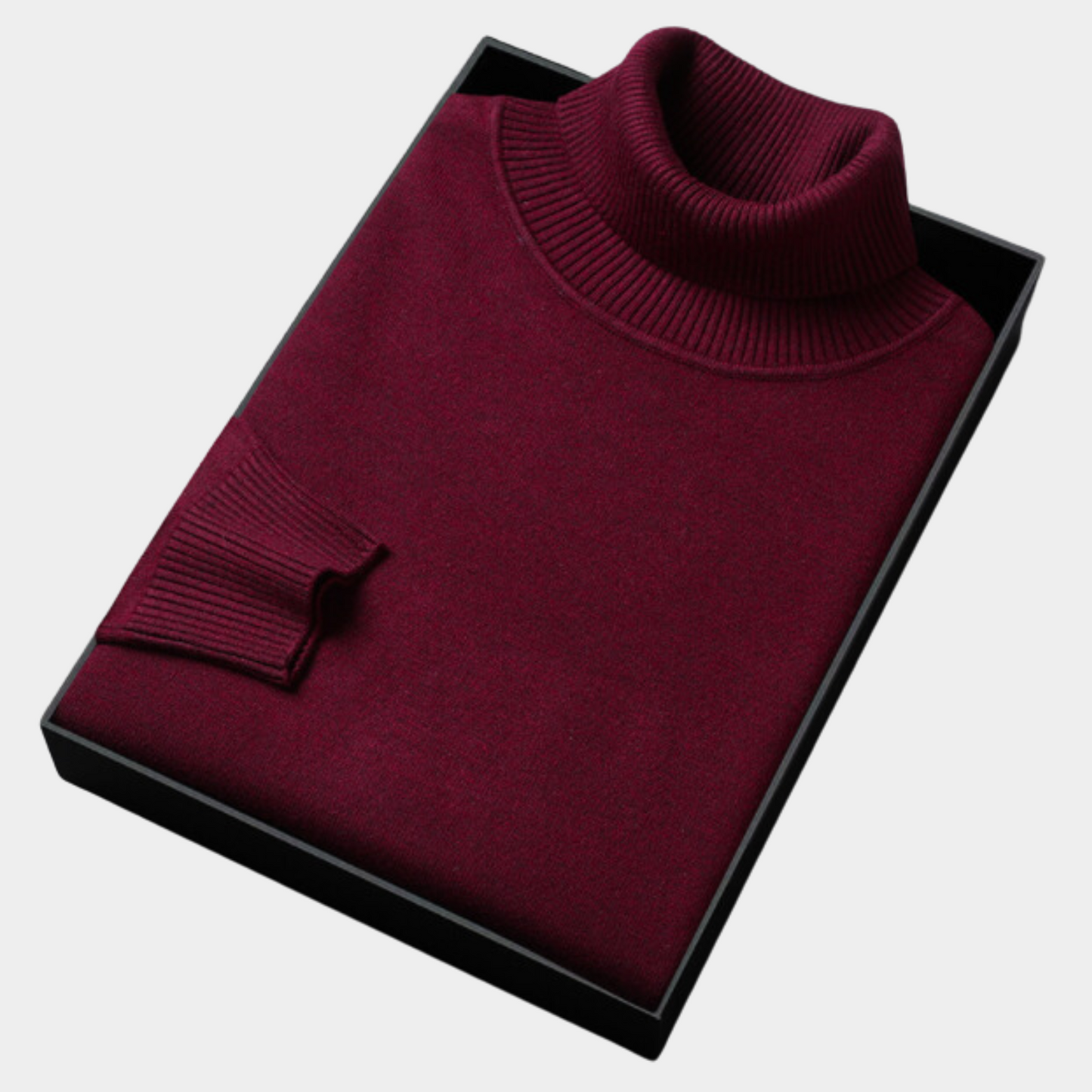 Janosch | Herren Frühling Rollkragenpullover