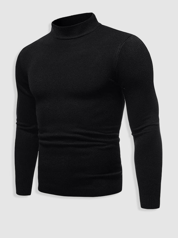 Walter | Herren Frühlings Slim Fit Rollkragenpullover