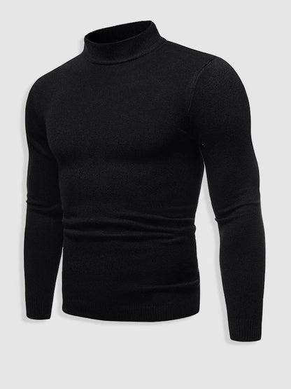 Walter | Herren Frühlings Slim Fit Rollkragenpullover