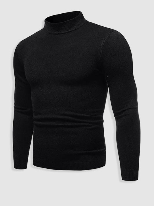 Walter | Herren Frühlings Slim Fit Rollkragenpullover