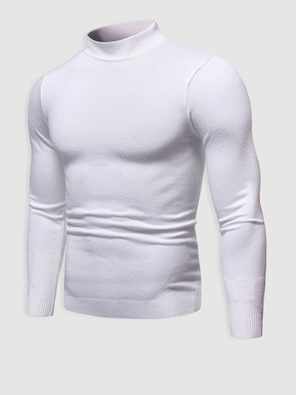 Walter | Herren Frühlings Slim Fit Rollkragenpullover