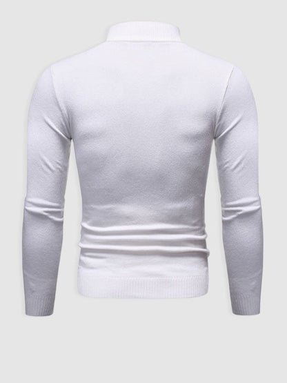 Walter | Herren Frühlings Slim Fit Rollkragenpullover