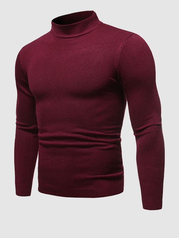 Walter | Herren Frühlings Slim Fit Rollkragenpullover