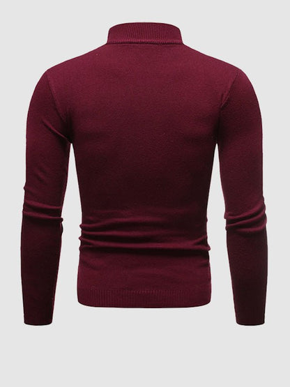 Walter | Herren Frühlings Slim Fit Rollkragenpullover